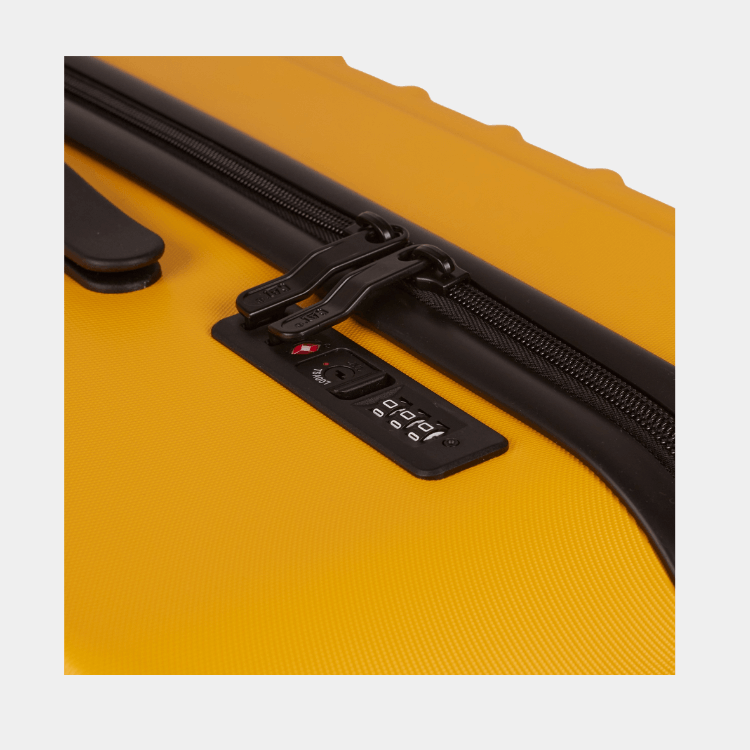 Cat Cargo - Industrial Plate Trunk (Medium)