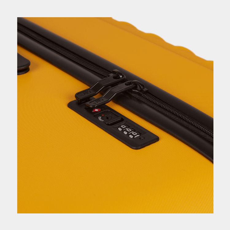 Cat Cargo - Industrial Plate Trunk (Large)