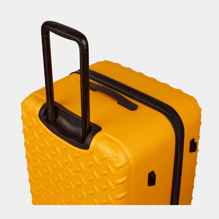 Cat Cargo - Industrial Plate Trunk (Large)