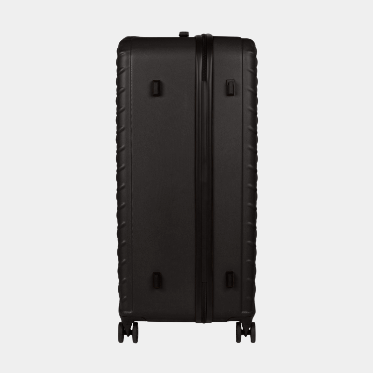 Cat Cargo - Industrial Plate Trunk (Large)