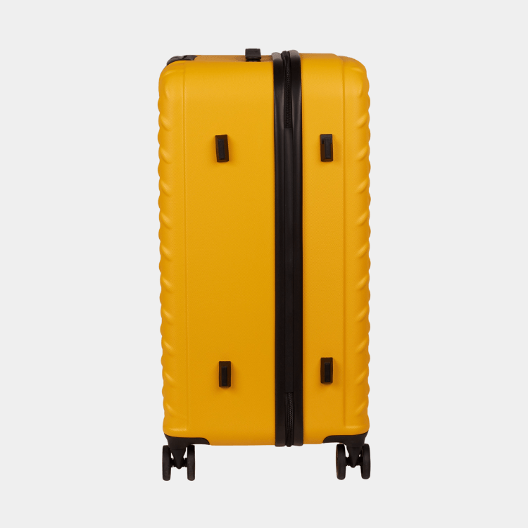 Cat Cargo - Industrial Plate Trunk (Medium)