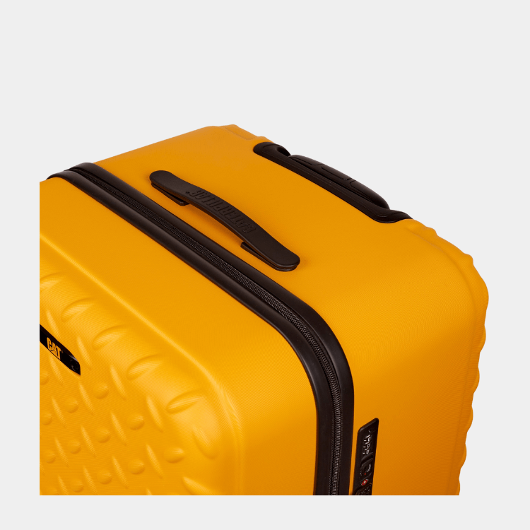 Cat Cargo - Industrial Plate Trunk (Large)