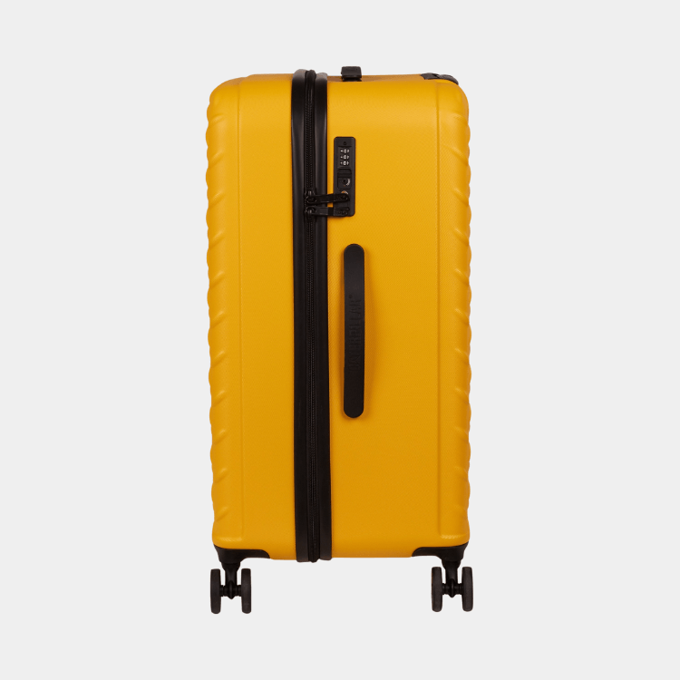 Cat Cargo - Industrial Plate Trunk (Medium)