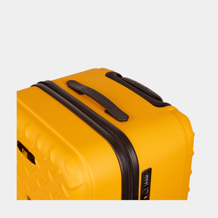 Cat Cargo - Industrial Plate Trunk (Medium)