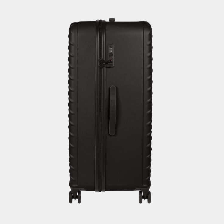 Cat Cargo - Industrial Plate Trunk (Large)