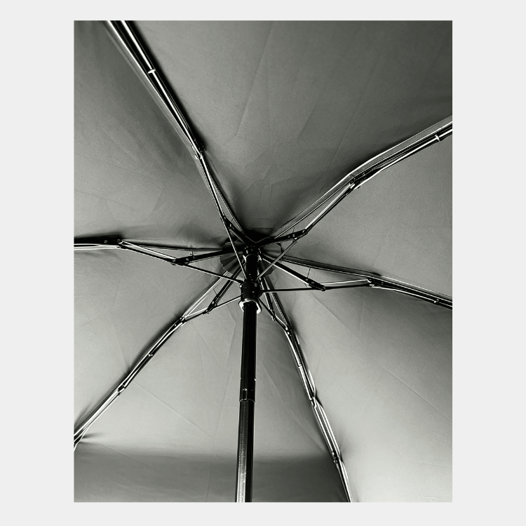 BOLD 5-FOLD UMBRELLA