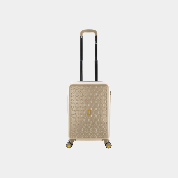 Swirl ABS Luggage (Cabin)