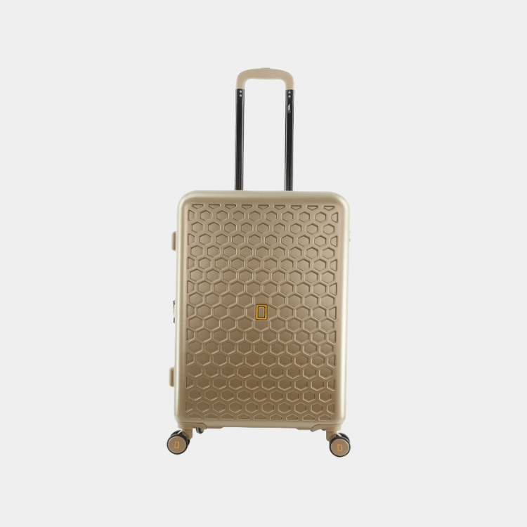 Swirl ABS Luggage (Large)