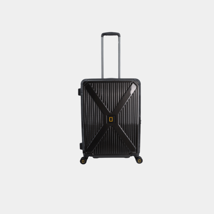 Metallic PC Luggage (Medium)