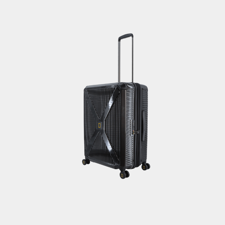 Metallic PC Luggage (Medium)