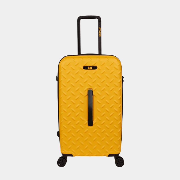 Cat Cargo - Industrial Plate Trunk (Medium)