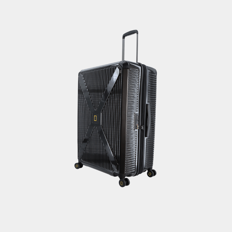Metallic PC Luggage (Large)