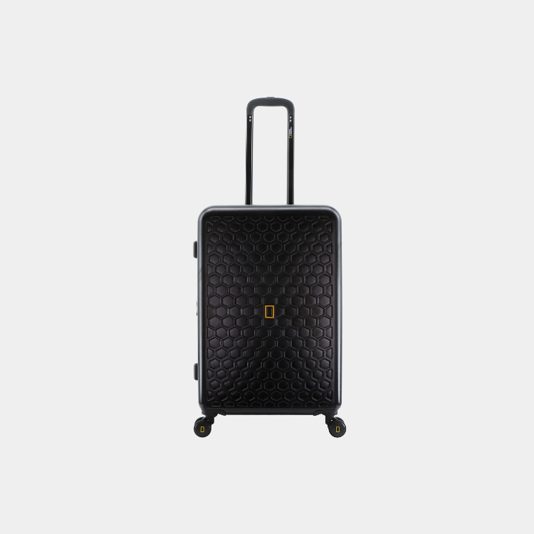 Swirl ABS Luggage (Medium)