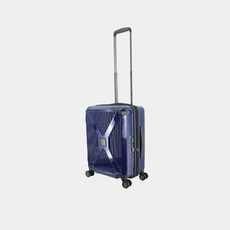 Metallic PC Luggage (Cabin)