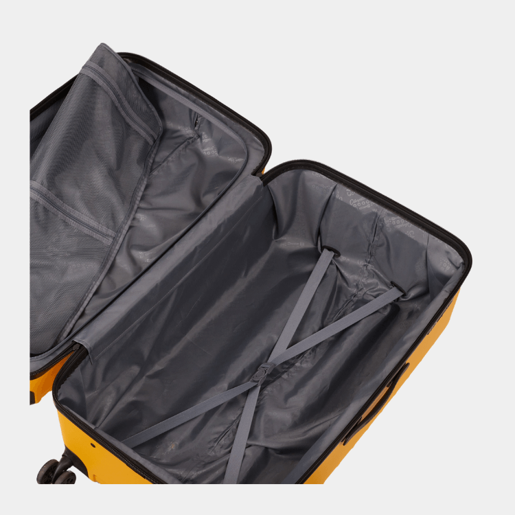 Cat Cargo - Industrial Plate Trunk (Large)