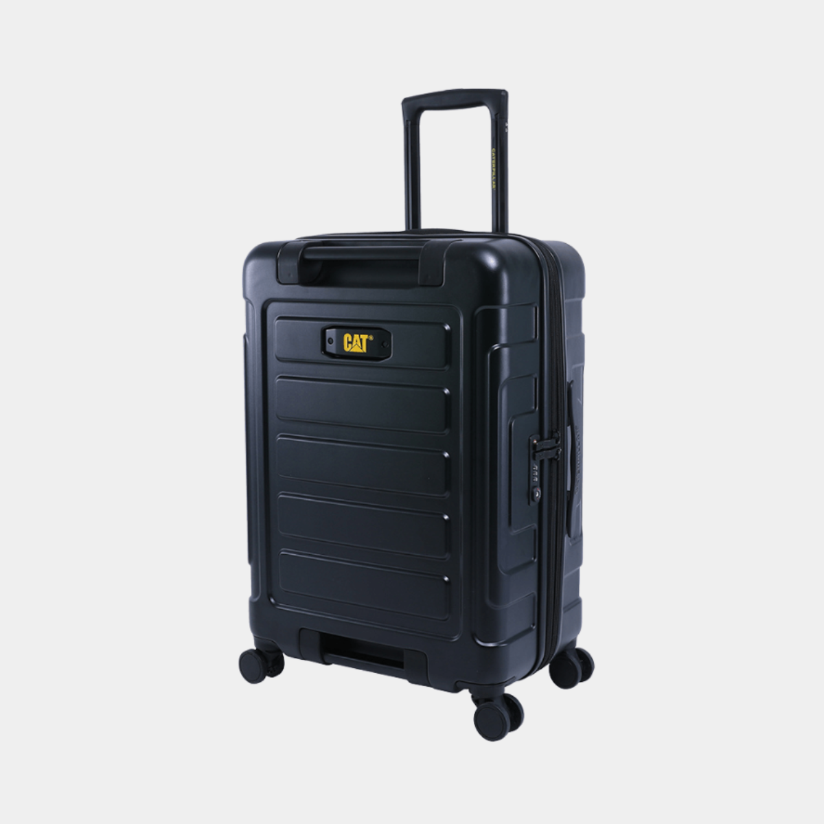 Cat luggage online