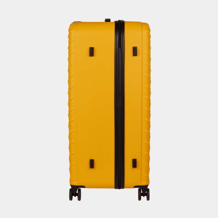 Cat Cargo - Industrial Plate Trunk (Large)