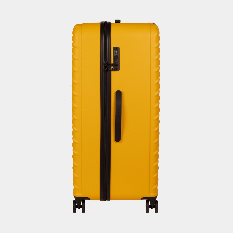Cat Cargo - Industrial Plate Trunk (Large)