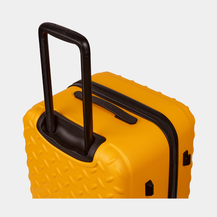Cat Cargo - Industrial Plate Trunk (Medium)