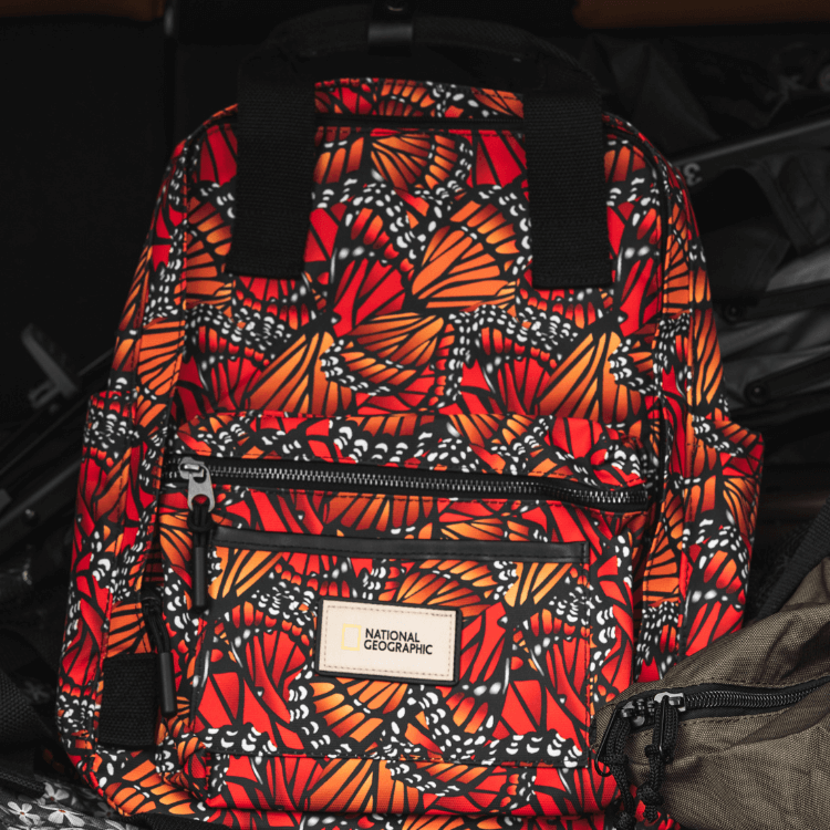 Legend Backpack (Large)