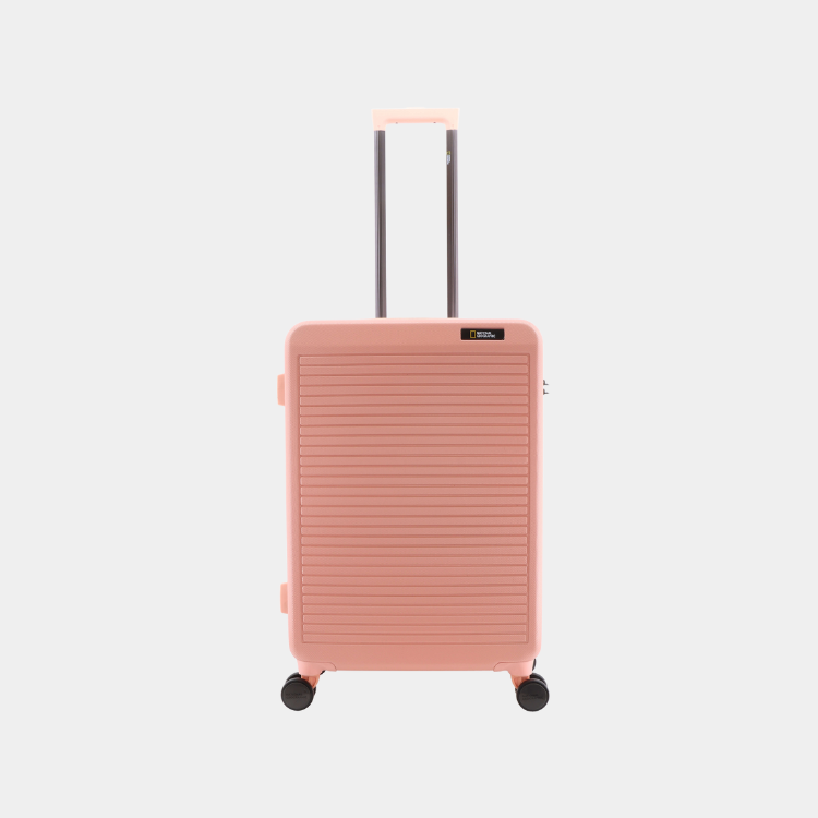 Pulse ABS Luggage (Medium)
