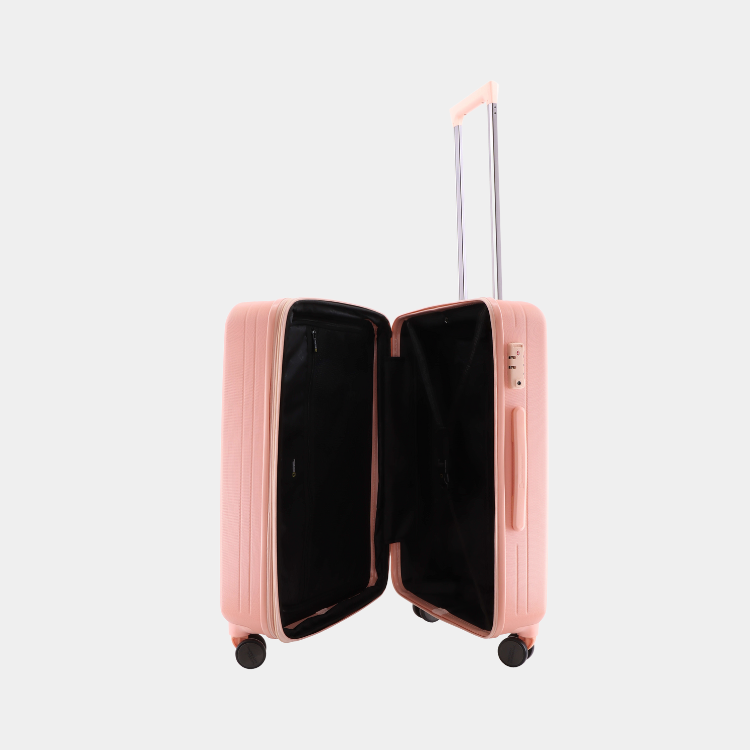 Pulse ABS Luggage (Medium)