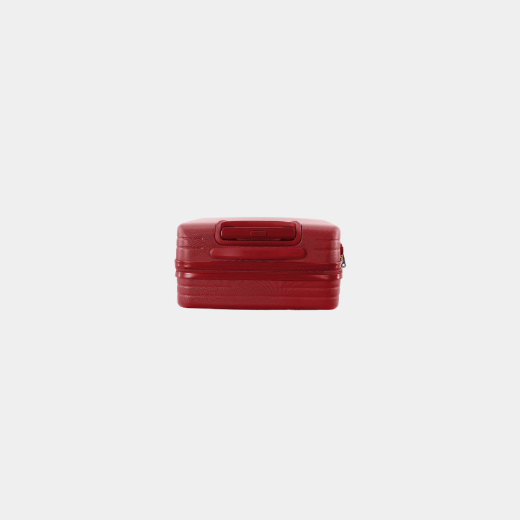 Pulse ABS Luggage (Cabin)