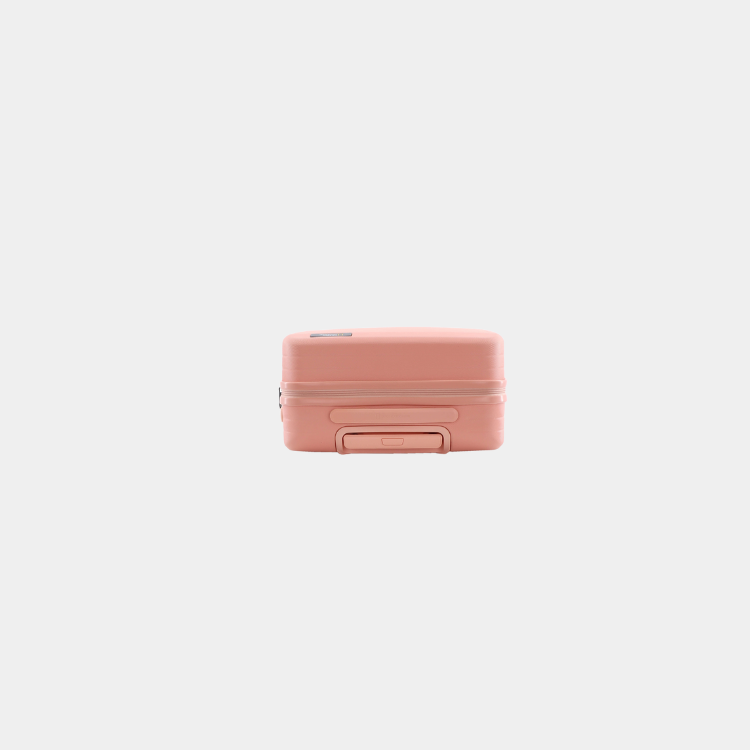 Pulse ABS Luggage (Cabin)