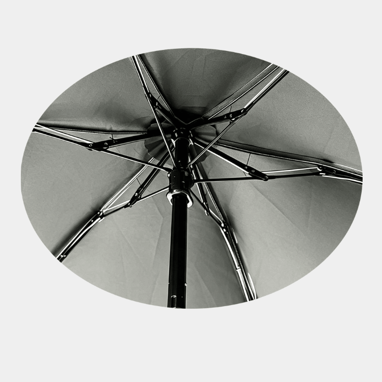 BOLD 5-FOLD UMBRELLA