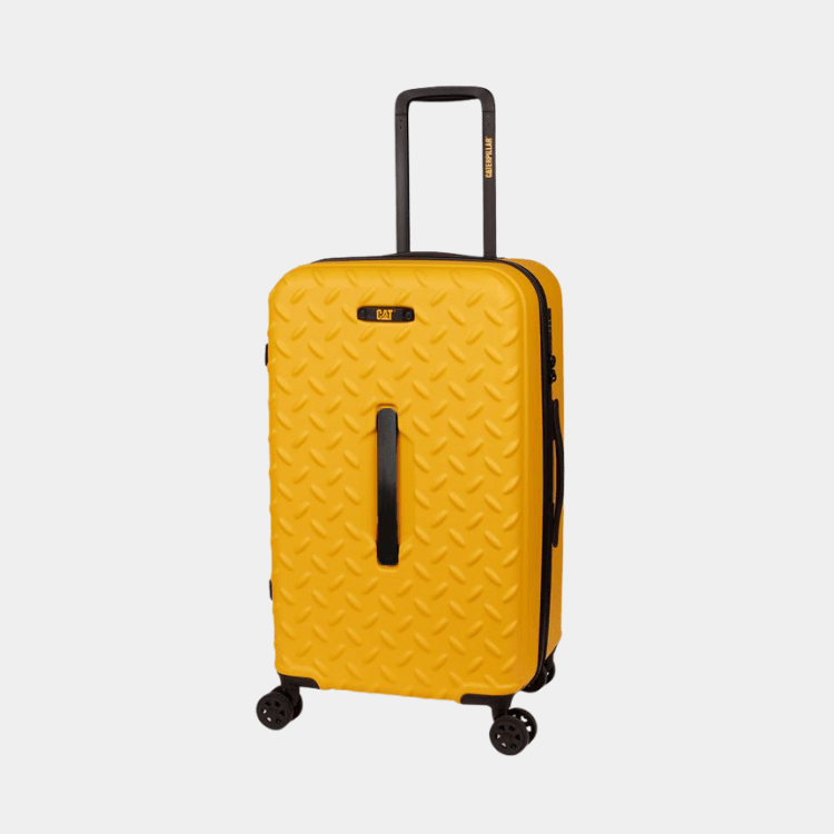 Cat Cargo - Industrial Plate Trunk (Medium)