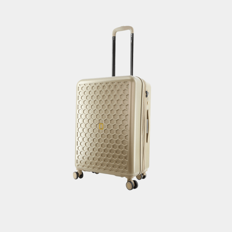 Swirl ABS Luggage (Medium)