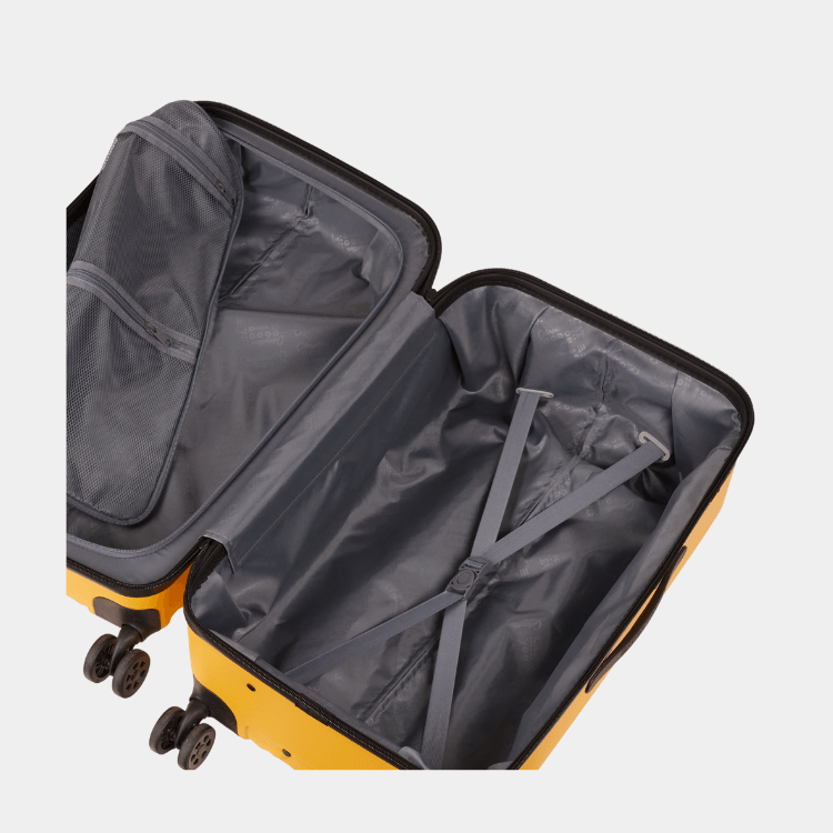 Cat Cargo - Industrial Plate Trunk (Medium)