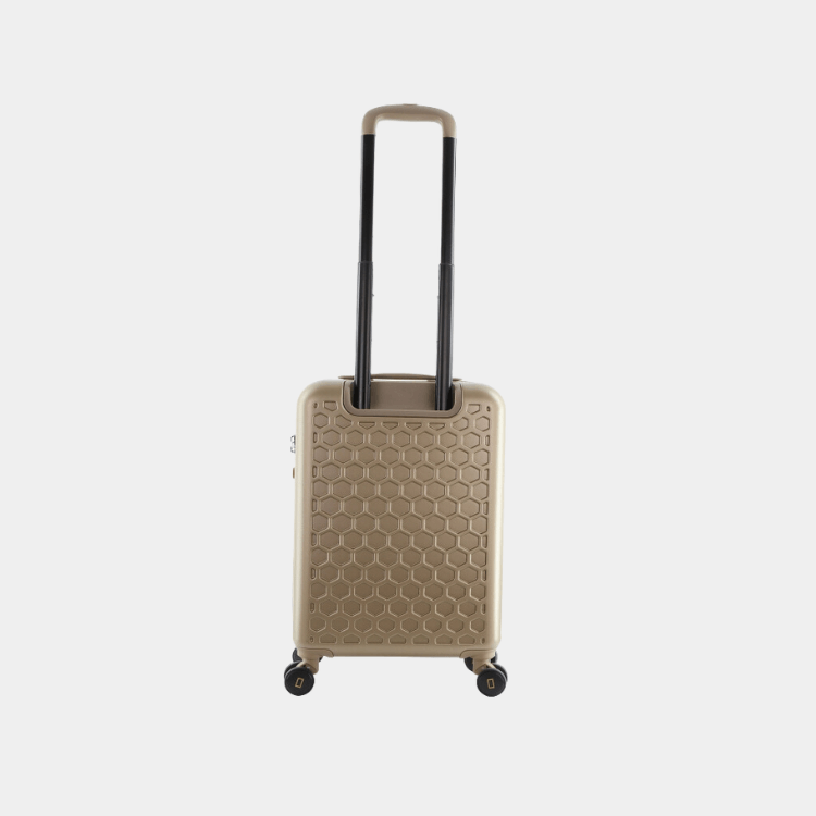 Swirl ABS Luggage (Cabin)