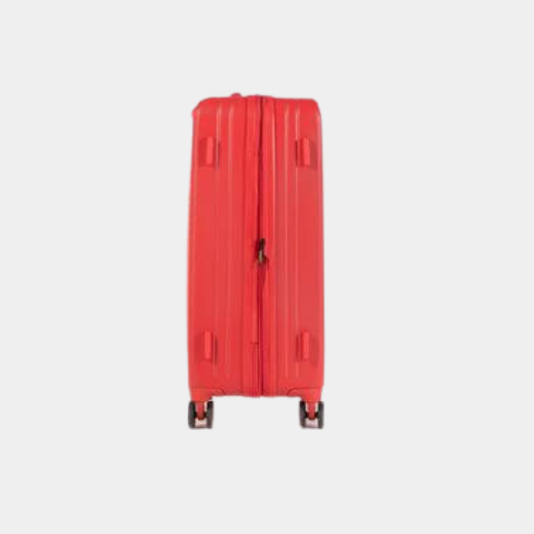 Pulse ABS Luggage (Medium)