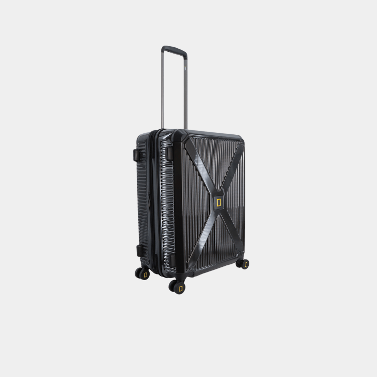 Metallic PC Luggage (Medium)