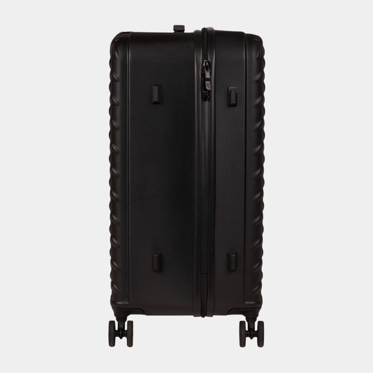 Cat Cargo - Industrial Plate Trunk (Medium)