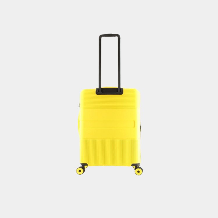 Cavern PP Luggage (Medium)