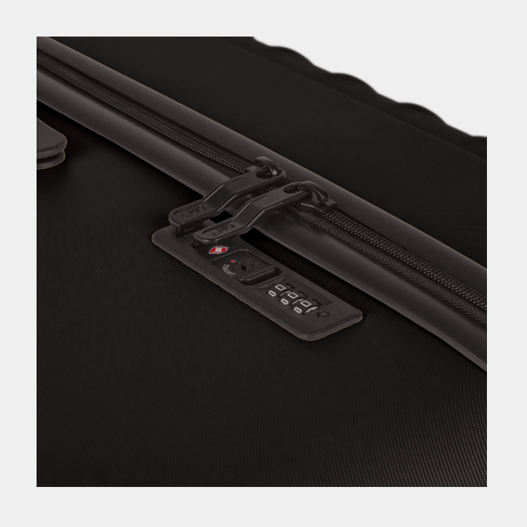 Cat Cargo - Industrial Plate Trunk (Large)